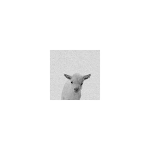 Lamb Surprise Painting Print on Wrapped Canvas