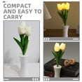 thumbnail image 3 of Hytrove Decorativa De Con Y Floral, 3 of 8