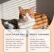 thumbnail image 4 of Yegbong Pet Tear Cleansing Cream es adecuada para perros y gatos, hidrata y limpia las secreciones alrededor de los ojos, reconforta y cuida los ojos.,1 piezas, 4 of 12