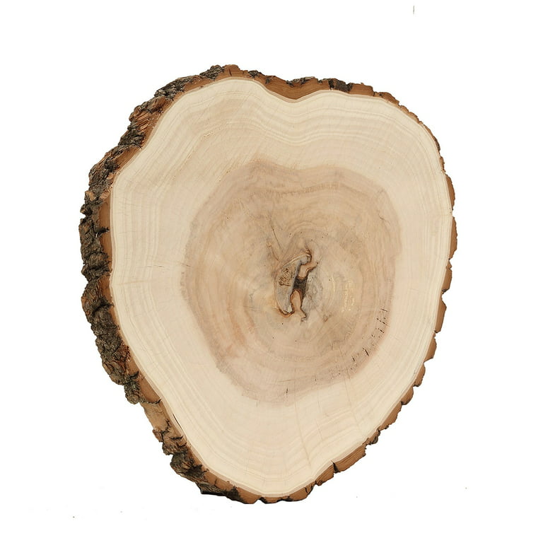 Efavormart 15~18  Rustic Natural Wood Slices Round Poplar Wooden Slab  Table Centerpiece 
