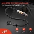 thumbnail image 2 of A-Premium O2 Oxygen Sensor Replacement for Honda CR-V LX EX-L EX 2007-2009 L4 2.4L Downstream, 2 of 8