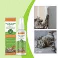 thumbnail image 1 of RKSTN Training Spray Cat Training Spray, 1 of 8