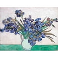 thumbnail image 3 of Van Gogh, Vincent 14x12 Black Modern Framed Museum Art Print Titled - Irises, 3 of 5
