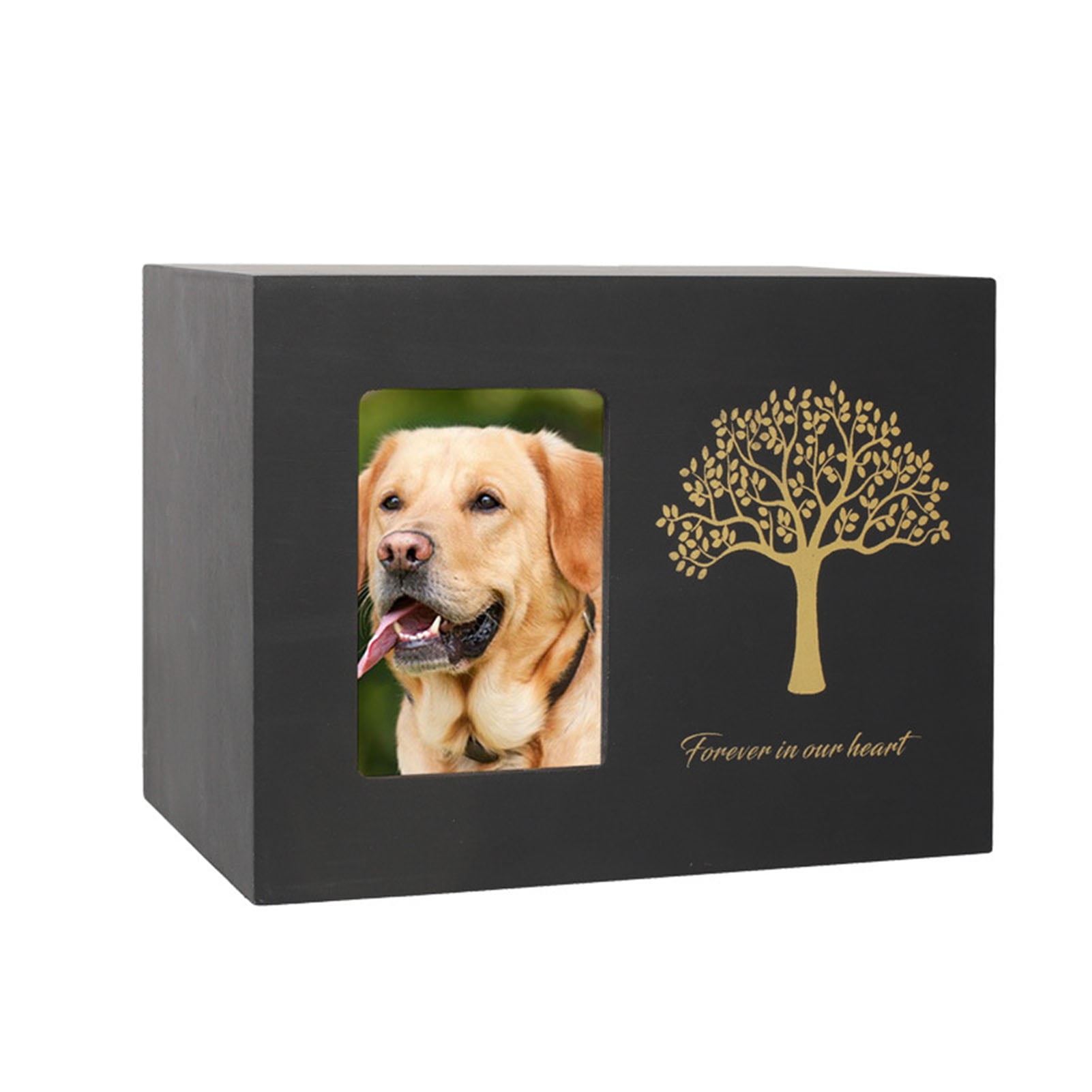 Cremation Urn For Pet Ashes Medium Wooden Memorial Keepsake Box 
