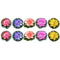 thumbnail image 1 of 10 Pcs Lotus Foliage Stems Water Lily Flower Fish Pond Plants, 1 of 10
