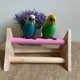 thumbnail image 3 of Soporte de percha para pájaros Soporte de entrenamiento para pájaros Soporte de juegos para pájaros Pájaro de molienda, 3 of 5