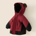 thumbnail image 4 of IVEYRTF Childrens Winter Jacket Boys Girls Warm Thick Hooded Coat Outdoor Waterproof Windproof Faux Fleece Lined Parka Tops Casual Sports Apparel(Red,1-2 Years), 4 of 4