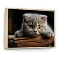 thumbnail image 2 of Designart "Serene Serenity Of Cute Scottish Fold Cat" Animals Cat Floater Framed Wall Art Prints, 2 of 5