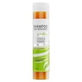 thumbnail image 1 of Shampoo Crecimiento Cabello Alopecia Anti Caída + 3 Activos (Crecimiento Capilar) Enriquecido De Gran Eficiencia Para El Crecimiento Ingredientes Naturales, Hierbas, Semillas Y Extracto de Corteza., 1 of 6
