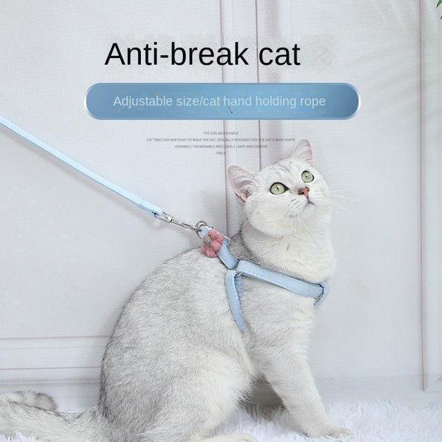 Correa para gato, cadena para gato, correa para caminar para gato, correa para el pecho para mascota, correa de flores tejidas, suministros para mascotas y gatos