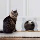 thumbnail image 2 of blanc Xl Porte De Chat Porte De Chat Intrieure Porte De Chat Pour Porte Intrieure, Portes Pour Chat, Minou Et Minou, 2 of 5