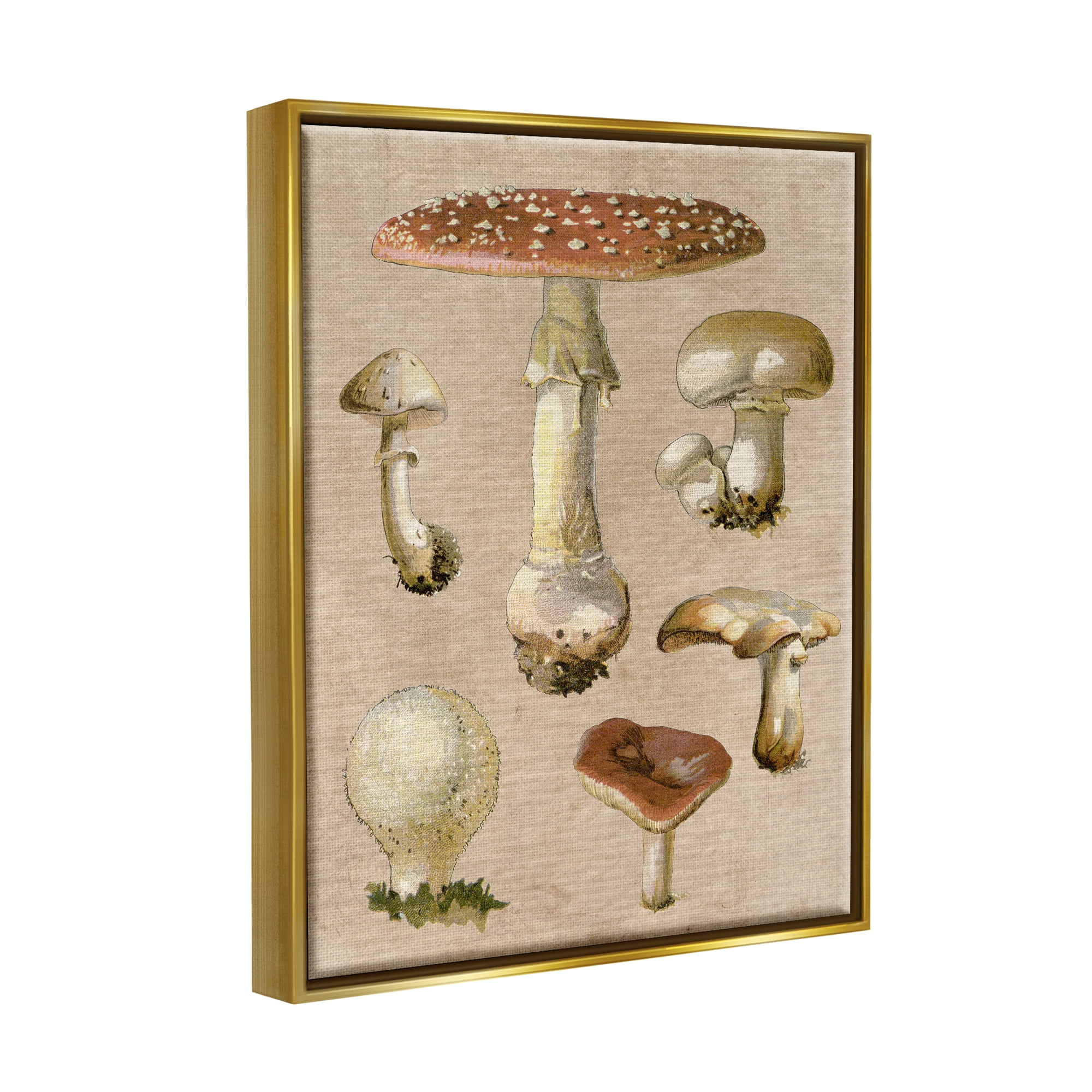 Stupell Industries Vintage Neutral Mushrooms Botanical & Floral Painting Gold Floater Framed Canvas Art Print Wall Art, 17 x 21