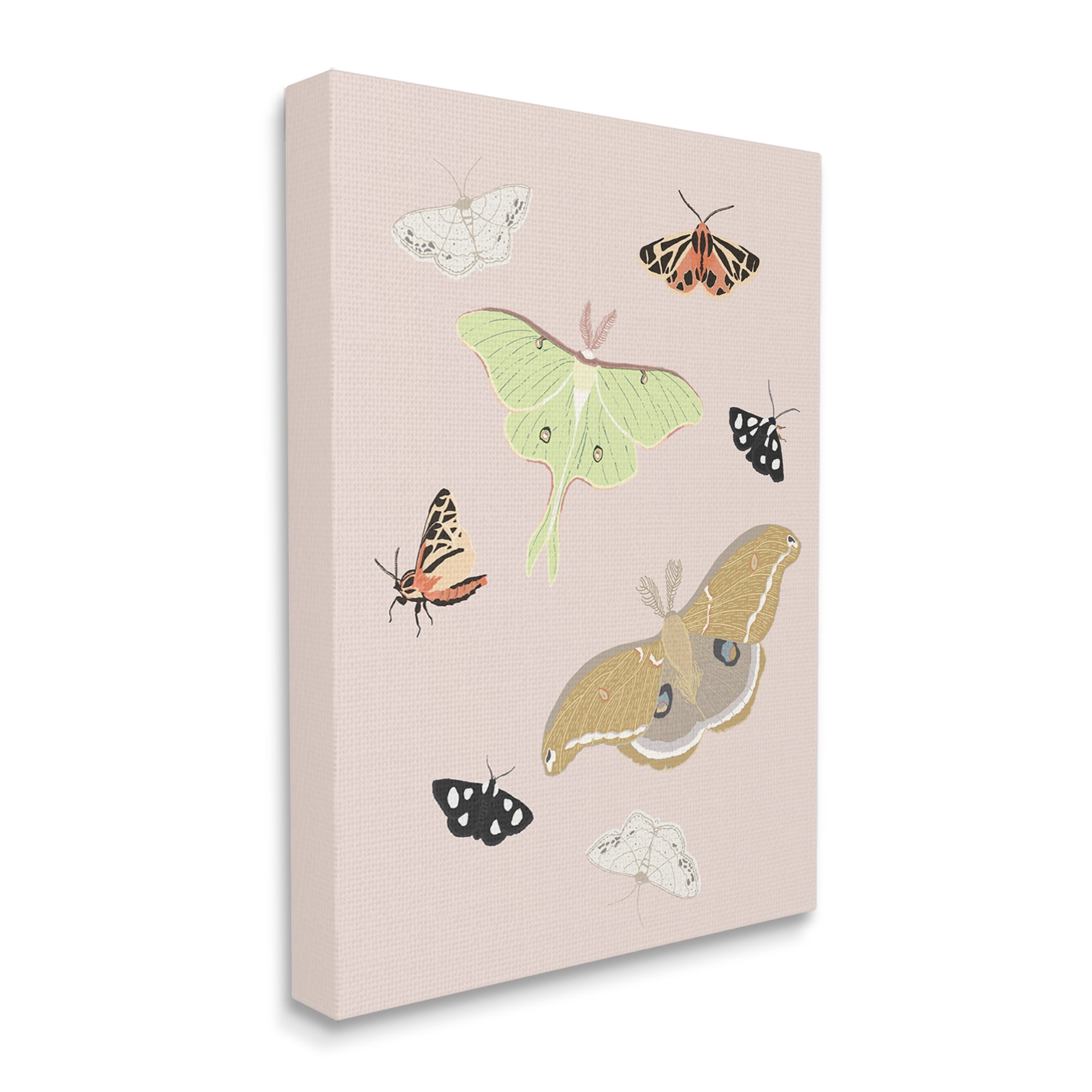 Stupell Industries Moths & Butterflies on Pink Animals & Insects Painting Gallery Wrapped Canvas Print Wall Art, 30 x 40