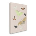 thumbnail image 4 of Stupell Industries Moths & Butterflies on Pink Animals & Insects Painting Gallery Wrapped Canvas Print Wall Art, 30 x 40, 4 of 8