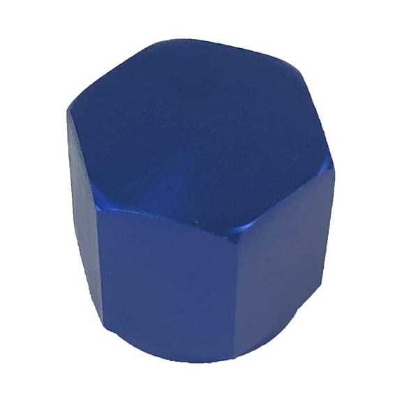 -6AN Fitting male Cap block off nut Blue