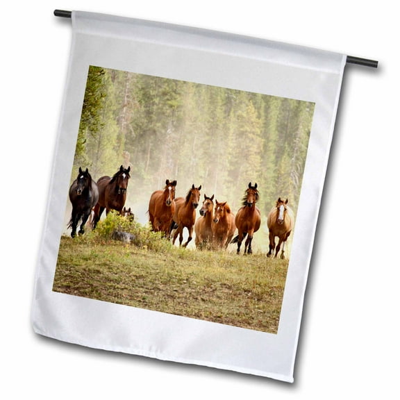 3dRose, Horses cresting small hill during roundup, Montana - US27 AJE0030 - Adam Jones, 12 x 18 inch Garden Flag