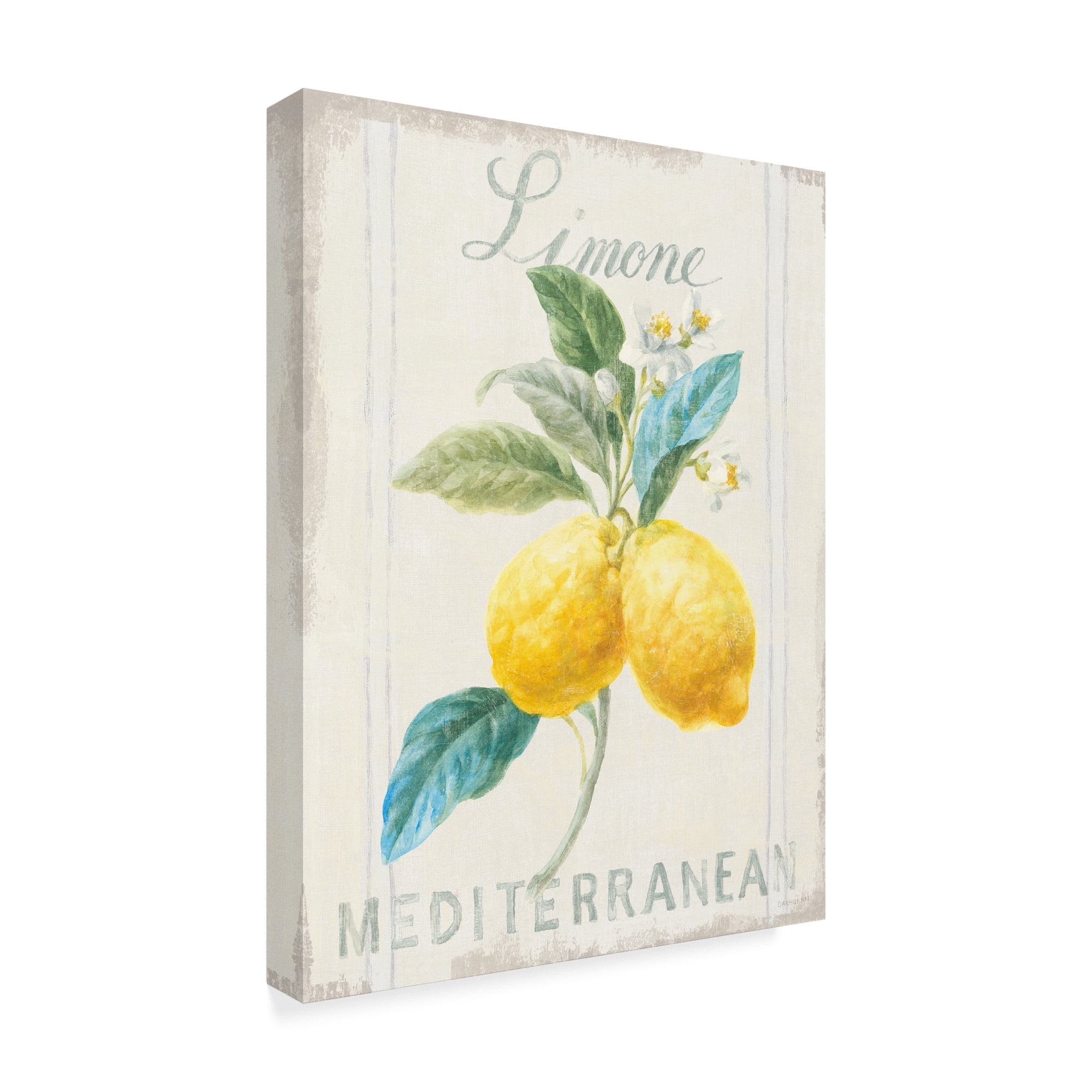 Trademark Fine Art 'Floursack Lemon III' Canvas Art by Danhui Nai
