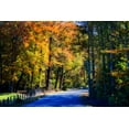 thumbnail image 2 of Hausenflock, Alan 24x17 Black Ornate Wood Framed with Double Matting Museum Art Print Titled - Twisting Autumn Road II, 2 of 4