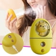 thumbnail image 1 of Cameland Home Appliances Water Replenishment Instrument USB Charging Handheld Humidifier Face Steaming Beauty Instrument Spray Water Replenishment Instrument, 1 of 9