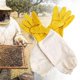 thumbnail image 3 of Guantes de apicultura de piel sintética, gruesos, profesionales, con puños elásticos, apicultor Amarillo Sunnimix Guantes de apicultura, 3 of 6