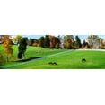 thumbnail image 2 of Hausenflock, Alan 32x13 White Modern Wood Framed Museum Art Print Titled - Virginia Horse Farm II, 2 of 4
