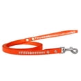 thumbnail image 1 of Clear Jewel Croc Leash Orange 1/2'' Wide X 4' Long, 1 of 1