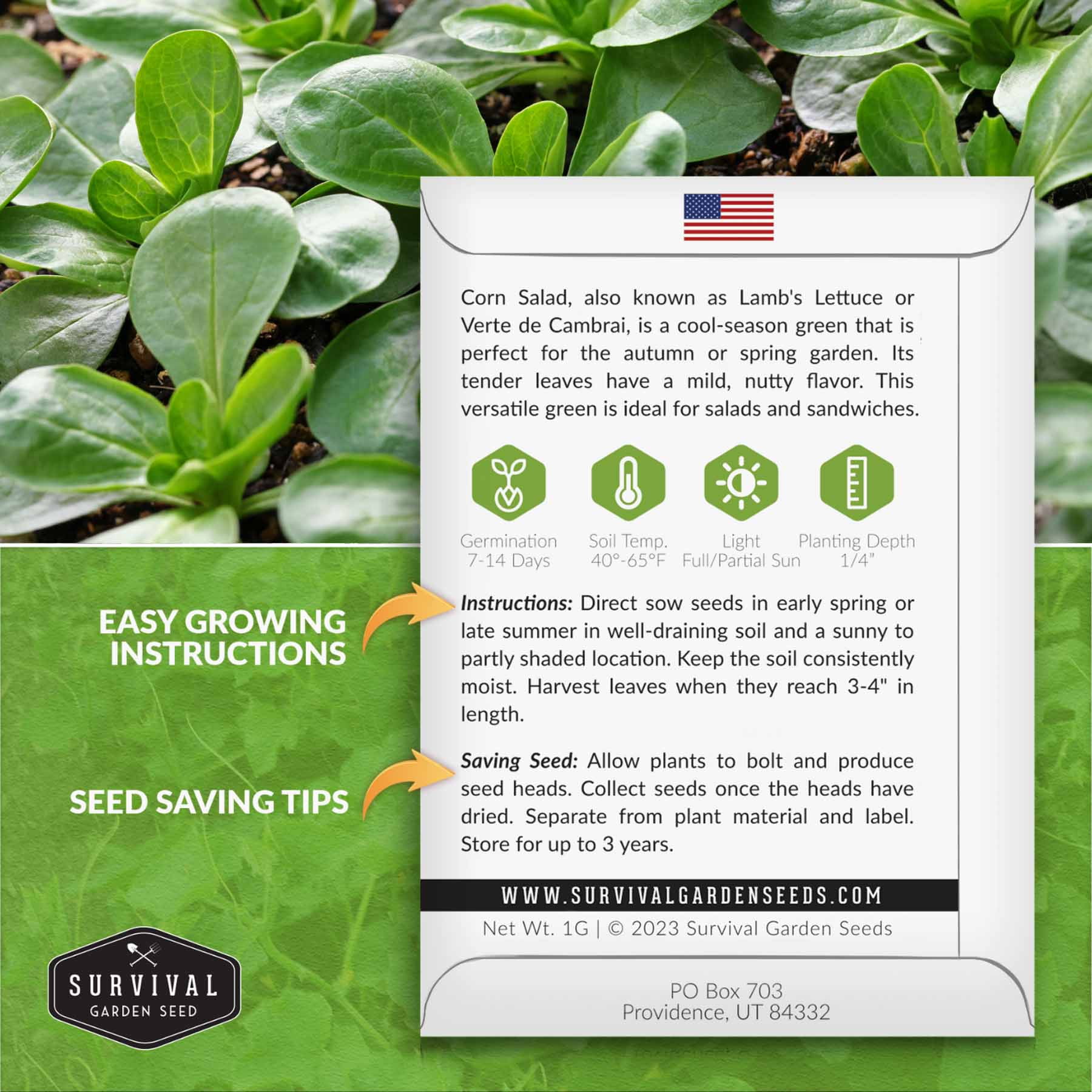 Spaas Maxi Candles Scented Tea Lights Block Pack X8 10h - Soft Sunrise