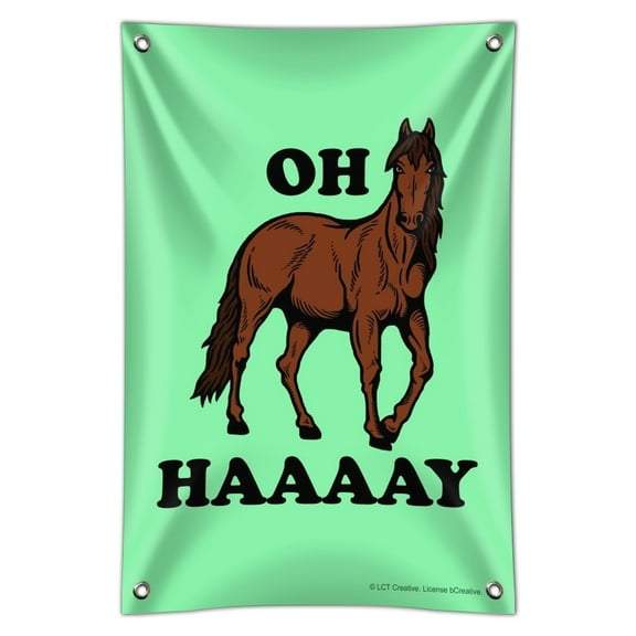 Oh Haaaay Horse Hay Hey Funny Humor Home Business Office Sign