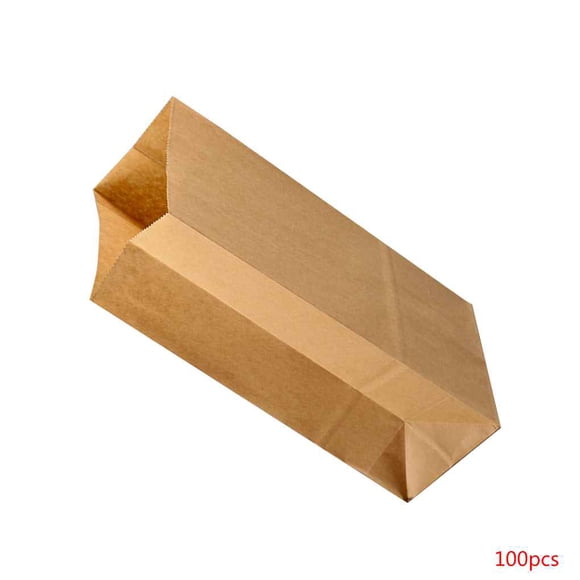 100pcs Kraft Paper Baking Oil-proof Takeaway Blank Food Packaging Bag Recyclable Jewelry Bread Shopping Party Bags,Maoww