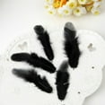 thumbnail image 6 of lanema 100Pcs Natural Craft Black For Art Craft Wedding Decoration, 6 of 21