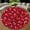 Cranberry, variant on Round Rug, Veteran Amethyst 4 Soft Washable Carpet, Non-Slip Floor Mat for Living Room Bedroom Home Decor 24 Inch