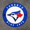 thumbnail image 5 of NHL, NBA, MLB Grey Sports Throw Blanket, 50" x 60", 5 of 5