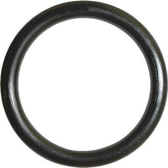 Danco O-Ring 15/16 " Od. X 3/4 " Id. X 3/32 " Nitrile Butadiene Rubber Youngstown Polybag