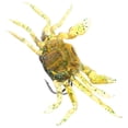 thumbnail image 4 of Señuelos de pesca de cangrejo con anzuelos (verdes), 4 of 7
