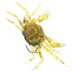 thumbnail image 4 of Señuelos de pesca de cangrejo con anzuelos (verdes), 4 of 7