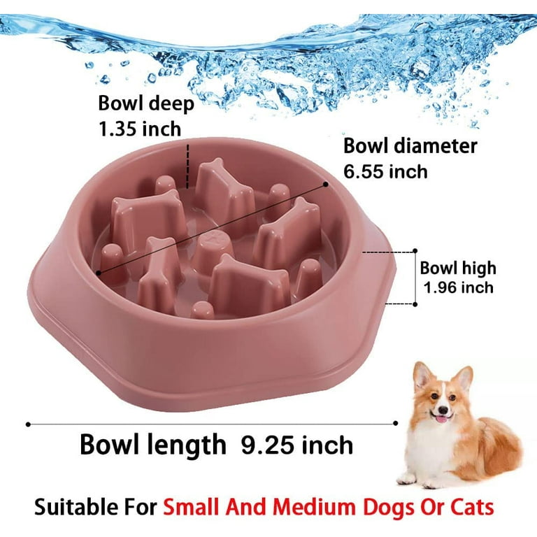 Slow Feeder Dog Bowl Agooga Anti Gulping Healthy Eating
