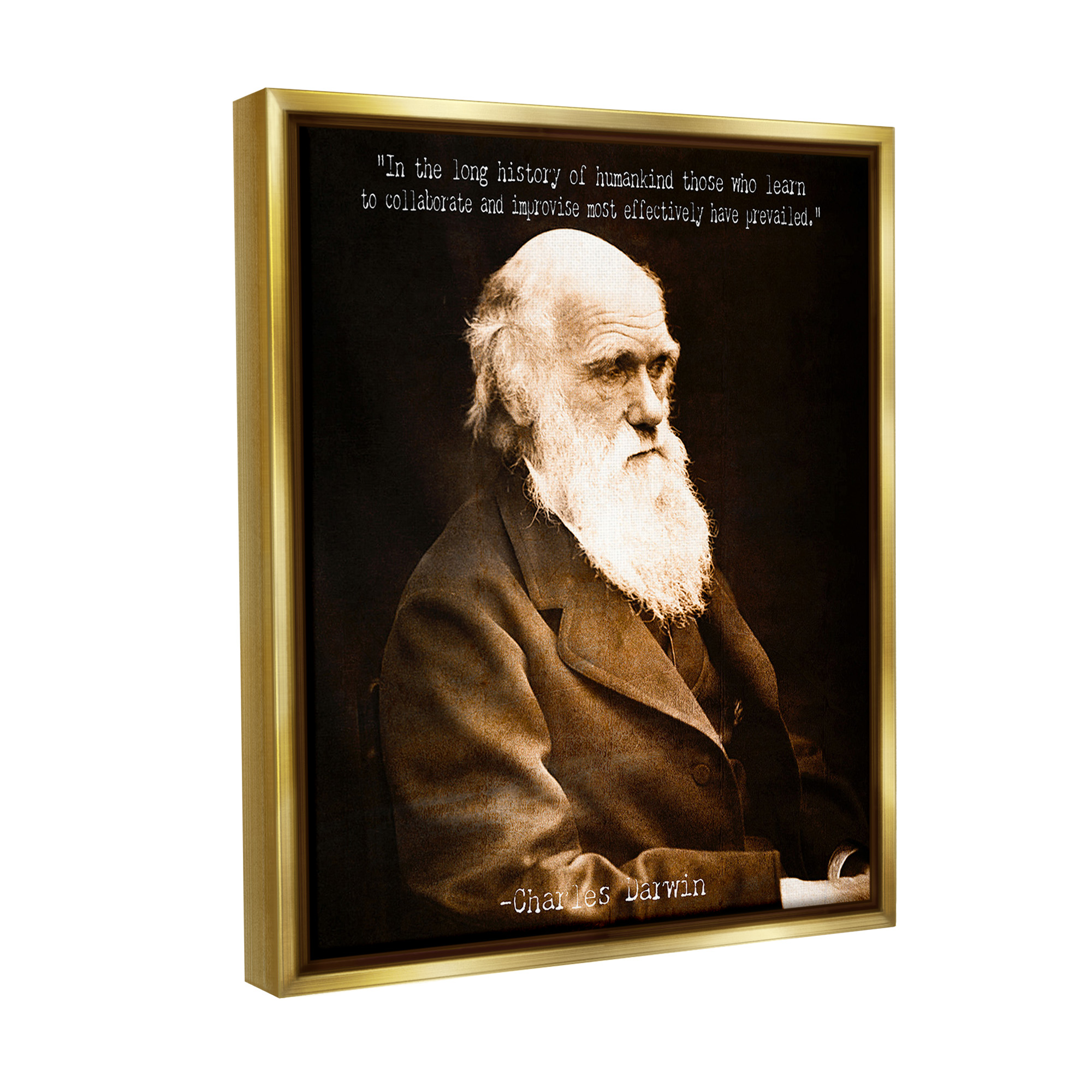 Stupell Industries Inspiring Darwin Quote Inspirational Painting Gold Floater Framed Canvas Art Print Wall Art, 25 x 31