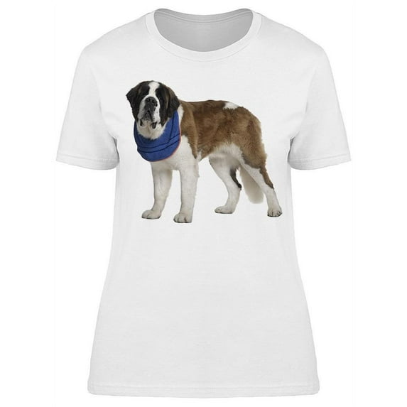 Saint Bernard Wearing A Rag T-Shirt Women -Image by Shutterstock, Female XX-Large