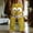 Yellow, variant on Dolkfu Pants Men Drawstring Wide Leg Sweatpants Baggy Comfy Graphic Mens Trouser L
