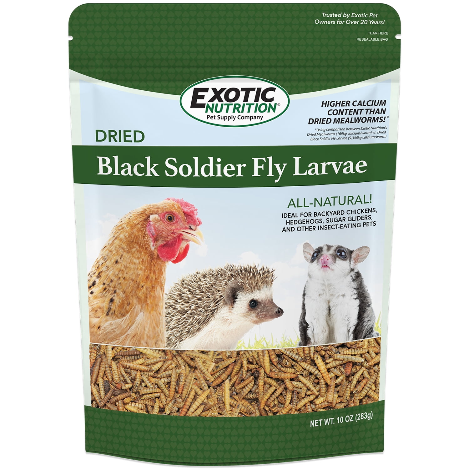 black soldier fly dog food