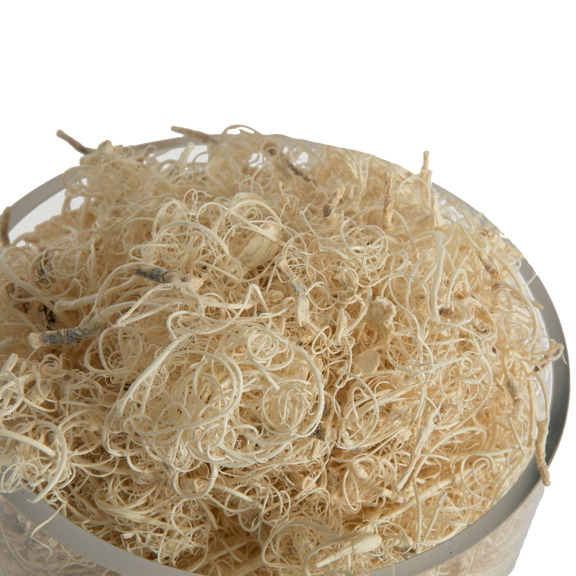 Vickerman Natural Botanicals Curly Moss, Bleached. Includes 2.2 Lbs per pack
