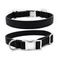 thumbnail image 1 of Collar para perros pequeños y medianos con correa clásica ajustable y cierre metálico, 1 of 5