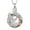 Silver-Pink, variant on Crystal Eagles Cremation Jewelry Eagle Urn Necklace for Ashes With Circle Crystal Memorial Keepsake W/Funnel Filler Memorial Jewelry Gifts for Women Men