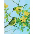 thumbnail image 1 of Cuadros Decorativos Pintura al óleo digital de bricolaje por kits de números Pájaros en rama Imagen sin marco Wdftyju embutido en tela, 1 of 9
