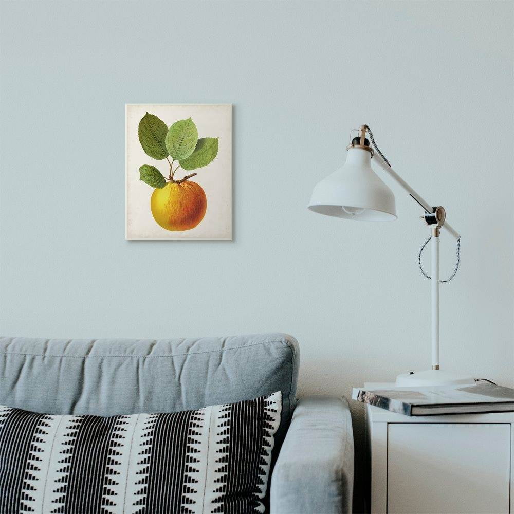 Stupell Industries Vintage Fruit Apple Painting Wall Plaque Art by Vision Studio