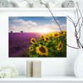 thumbnail image 1 of Champs de Lavande et Tournesols - Impression sur Toile Florale, 1 of 3
