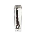 thumbnail image 3 of ED SPELDY EAST PW305 Paperweight  Large  Black Scorpion, 3 of 3