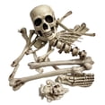 thumbnail image 1 of 19 piezas de accesorios de esqueleto para decoraciones de Halloween., 1 of 3