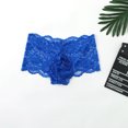 thumbnail image 3 of Bigersell Cotton No Show Underwear Women Clearance Women Underwear Cotton Seamless Panty Style P-367 Polyester Cheeky Panties Thongs Briefs High Waist Women's Bikini Panties Blue L, 3 of 7