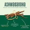 thumbnail image 3 of VAHDAM Organic Ashwagandha Root Powder, 2.47 oz (70 g) | USDA Organic Indian Ginseng Herbal Powder, Non-GMO, Gluten-Free, 3 of 9